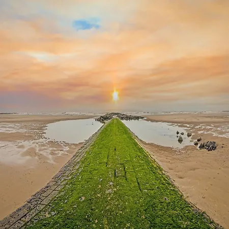 Apartamento Duplex In Near Sea & Center